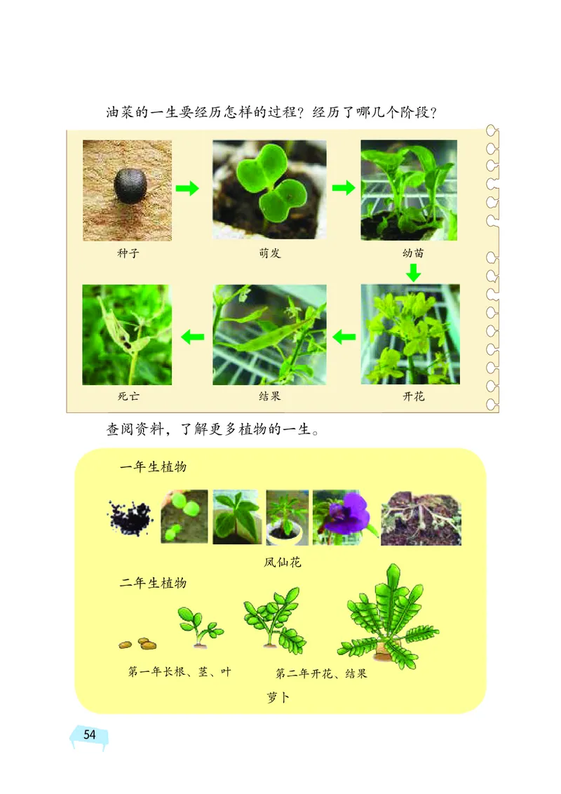义务教育教科书&middot;科学三年级下册（湘科版）_三年级上下册资料_小学三年级学习资料-25年更新版_3-10、小学三年级科学下册_湘教版