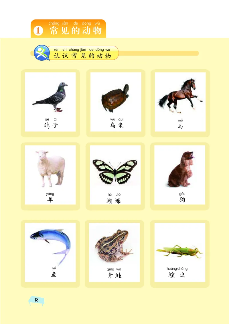 义务教育教科书&middot;科学一年级下册（湘科版）_一年级上下册资料_小学一年级学习资料-25年更新版_1-10、小学一年级科学下册