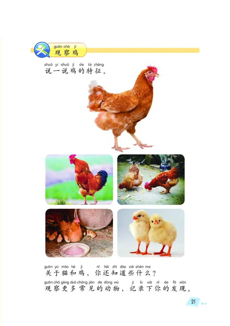 义务教育教科书&middot;科学一年级下册（湘科版）_一年级上下册资料_小学一年级学习资料-25年更新版_1-10、小学一年级科学下册