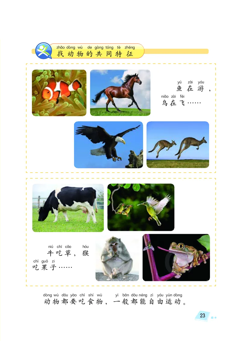 义务教育教科书&middot;科学一年级下册（湘科版）_一年级上下册资料_小学一年级学习资料-25年更新版_1-10、小学一年级科学下册