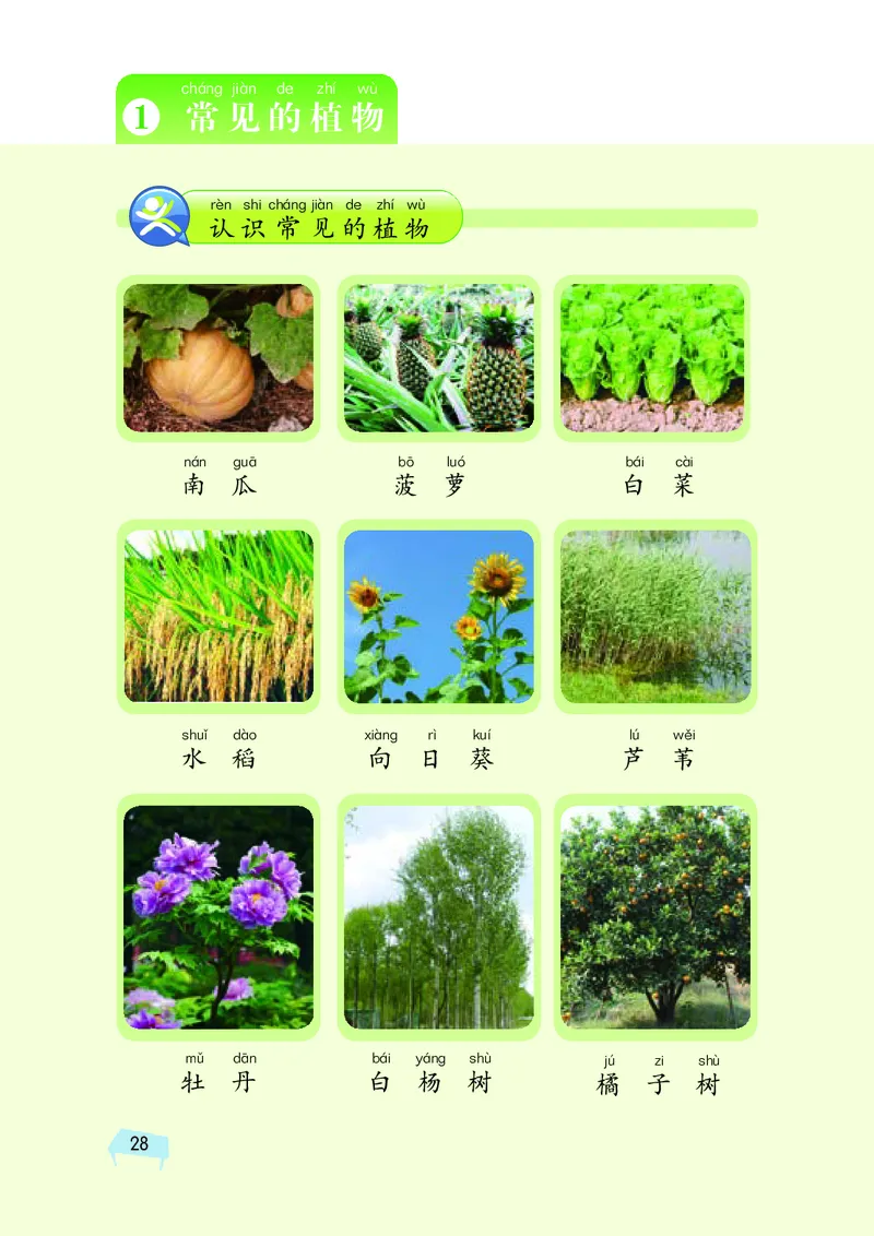 义务教育教科书&middot;科学一年级下册（湘科版）_一年级上下册资料_小学一年级学习资料-25年更新版_1-10、小学一年级科学下册