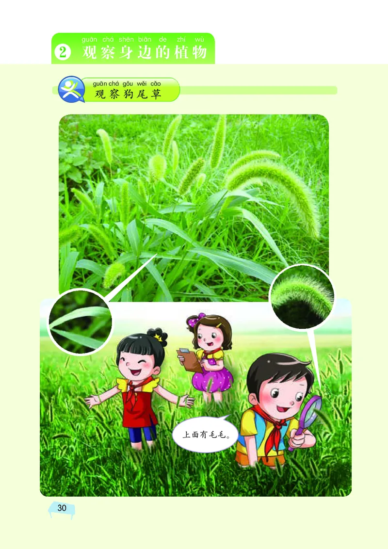 义务教育教科书&middot;科学一年级下册（湘科版）_一年级上下册资料_小学一年级学习资料-25年更新版_1-10、小学一年级科学下册