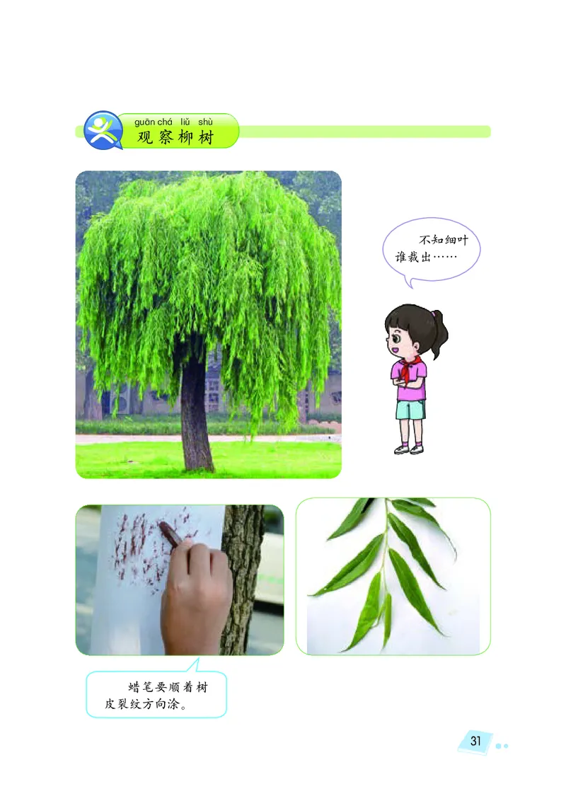 义务教育教科书&middot;科学一年级下册（湘科版）_一年级上下册资料_小学一年级学习资料-25年更新版_1-10、小学一年级科学下册