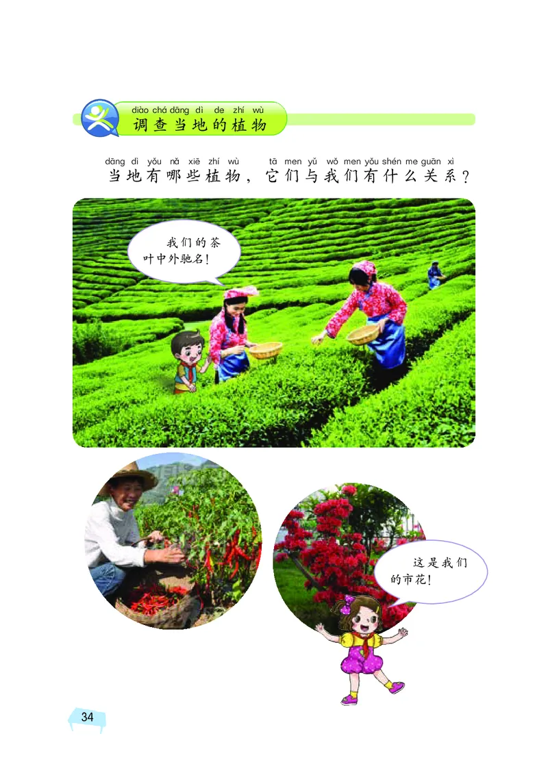 义务教育教科书&middot;科学一年级下册（湘科版）_一年级上下册资料_小学一年级学习资料-25年更新版_1-10、小学一年级科学下册