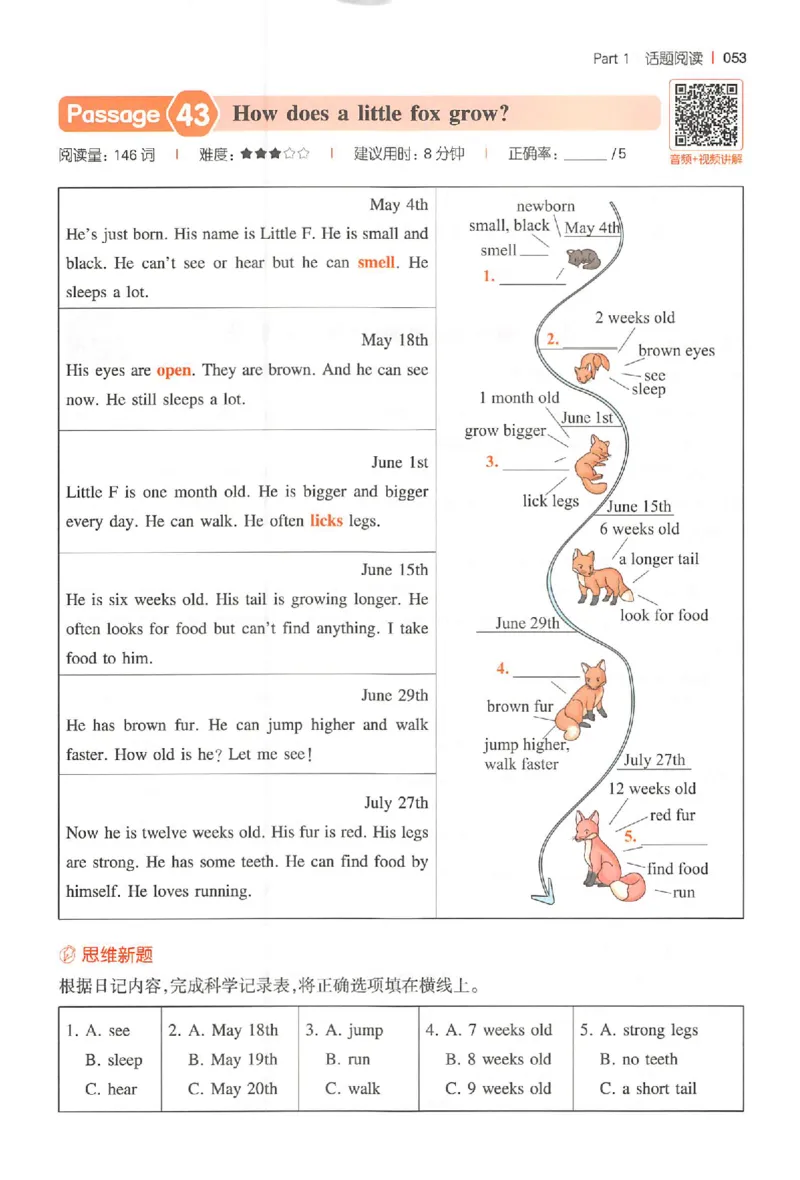 小英100篇五年级_25秋《一本小学英语阅读训练100篇》第九版3-6人教_26版一本小学英语阅读100篇五年级