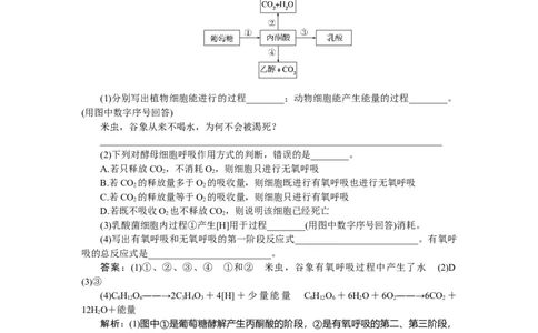 专练24_2025高中教辅（后续还会更新新习题试卷）_2025高中全科《微专题&middot;小练习》_2025高中全科《微专题小练习》_2025版&middot;微专题小练习&middot;生物学&middot;