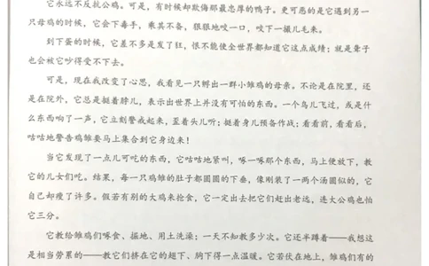 新文档20190610190155475_小学生作文专项名师课合集16套小学~视频+PDF_022.跟谁学无忧作文_07第七课