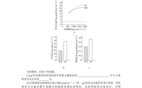 专练29_2025高中教辅（后续还会更新新习题试卷）_2025高中全科《微专题&middot;小练习》_2025高中全科《微专题小练习》_2025版&middot;微专题小练习&middot;生物学&middot;不定项