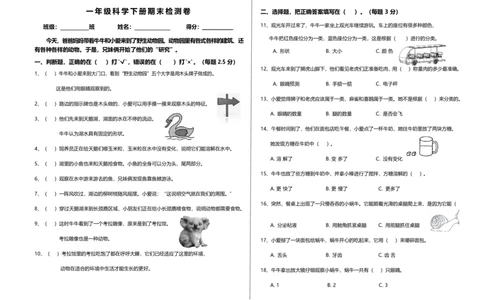 一下期末检测卷_一年级上下册资料_小学一年级学习资料-25年更新版_1-10、小学一年级科学下册_教科版_期末测试卷