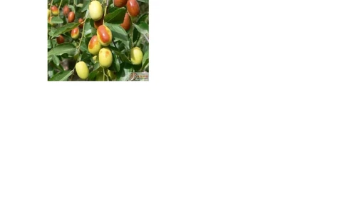 小学一年级上册语文带拼音的阅读训练(全)_一年级上下册资料_小学一年级学习资料-25年更新版_1-01、小学一年级语文上册_08、专项练习_阅读专项