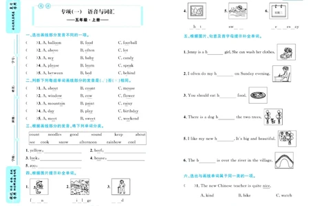 全优期末真题卷人教PEP版英语5年级上册_25秋小学语数英习题试卷_英语_人教版_✅人教PEP版英语3-6年级上册全优期末真题卷
