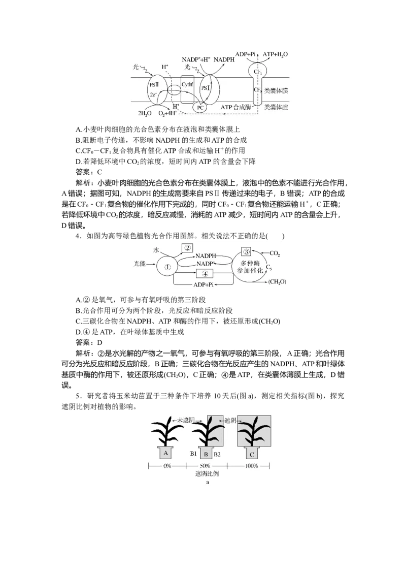 专练28_2025高中教辅（后续还会更新新习题试卷）_2025高中全科《微专题&middot;小练习》_2025高中全科《微专题小练习》_2025版&middot;微专题小练习&middot;生物学&middot;