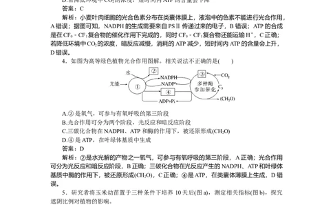 专练28_2025高中教辅（后续还会更新新习题试卷）_2025高中全科《微专题&middot;小练习》_2025高中全科《微专题小练习》_2025版&middot;微专题小练习&middot;生物学&middot;