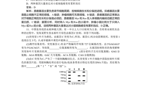 专练53_2025高中教辅（后续还会更新新习题试卷）_2025高中全科《微专题&middot;小练习》_2025高中全科《微专题小练习》_2025版&middot;微专题小练习&middot;生物学&middot;