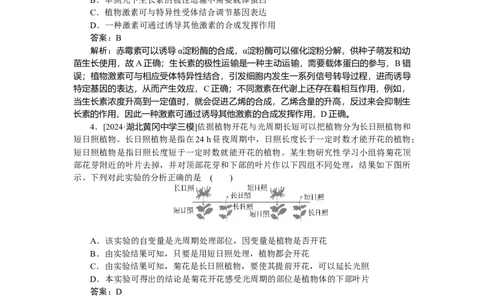 专练82_2025高中教辅（后续还会更新新习题试卷）_2025高中全科《微专题&middot;小练习》_2025高中全科《微专题小练习》_2025版&middot;微专题小练习&middot;生物学&middot;