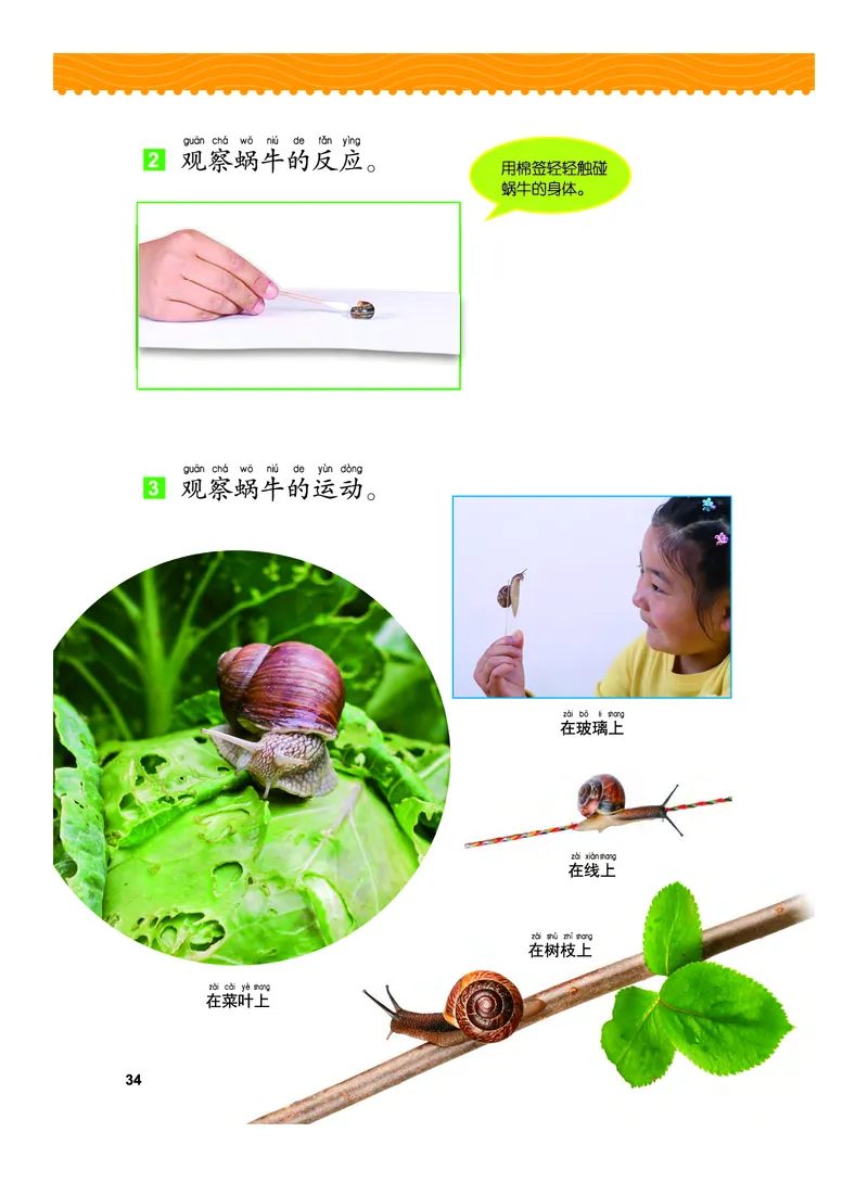 义务教育教科书&middot;科学一年级下册（教科版）_一年级上下册资料_小学一年级学习资料-25年更新版_1-10、小学一年级科学下册_教科版_电子教材