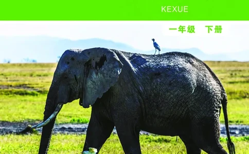 义务教育教科书&middot;科学一年级下册（教科版）_一年级上下册资料_小学一年级学习资料-25年更新版_1-10、小学一年级科学下册_教科版_电子教材