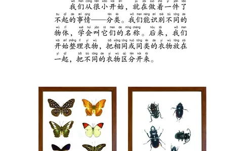 义务教育教科书&middot;科学一年级下册（教科版）_一年级上下册资料_小学一年级学习资料-25年更新版_1-10、小学一年级科学下册_教科版_电子教材