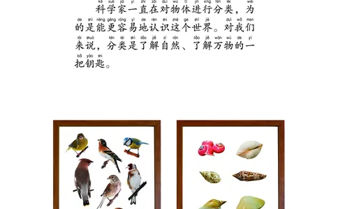 义务教育教科书&middot;科学一年级下册（教科版）_一年级上下册资料_小学一年级学习资料-25年更新版_1-10、小学一年级科学下册_教科版_电子教材