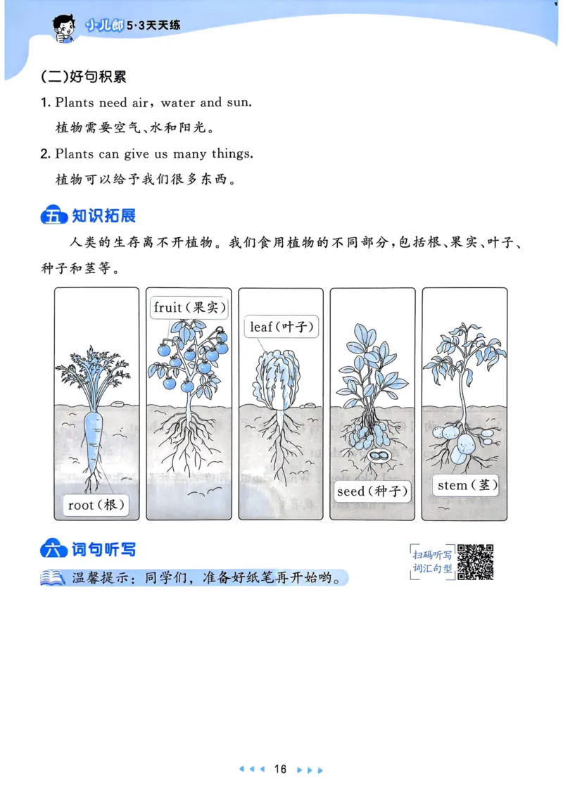 三年级英语上册人教PEP版25秋《53天天练》知识清单_25秋小学语数英习题试卷_英语_人教版_1-6年级英语上册人教PEP版25秋《53天天练》_三年级英语上册人教PEP版25秋《53天天练》