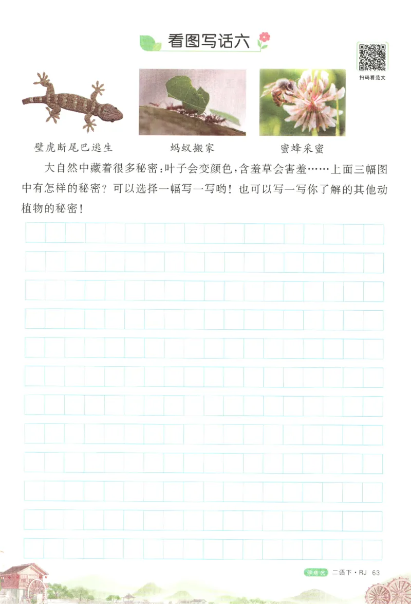 优翼&middot;学练优.T3.二年级语文.下：RJ_二年级上下册资料_53黄冈多个品牌系列资料_语文