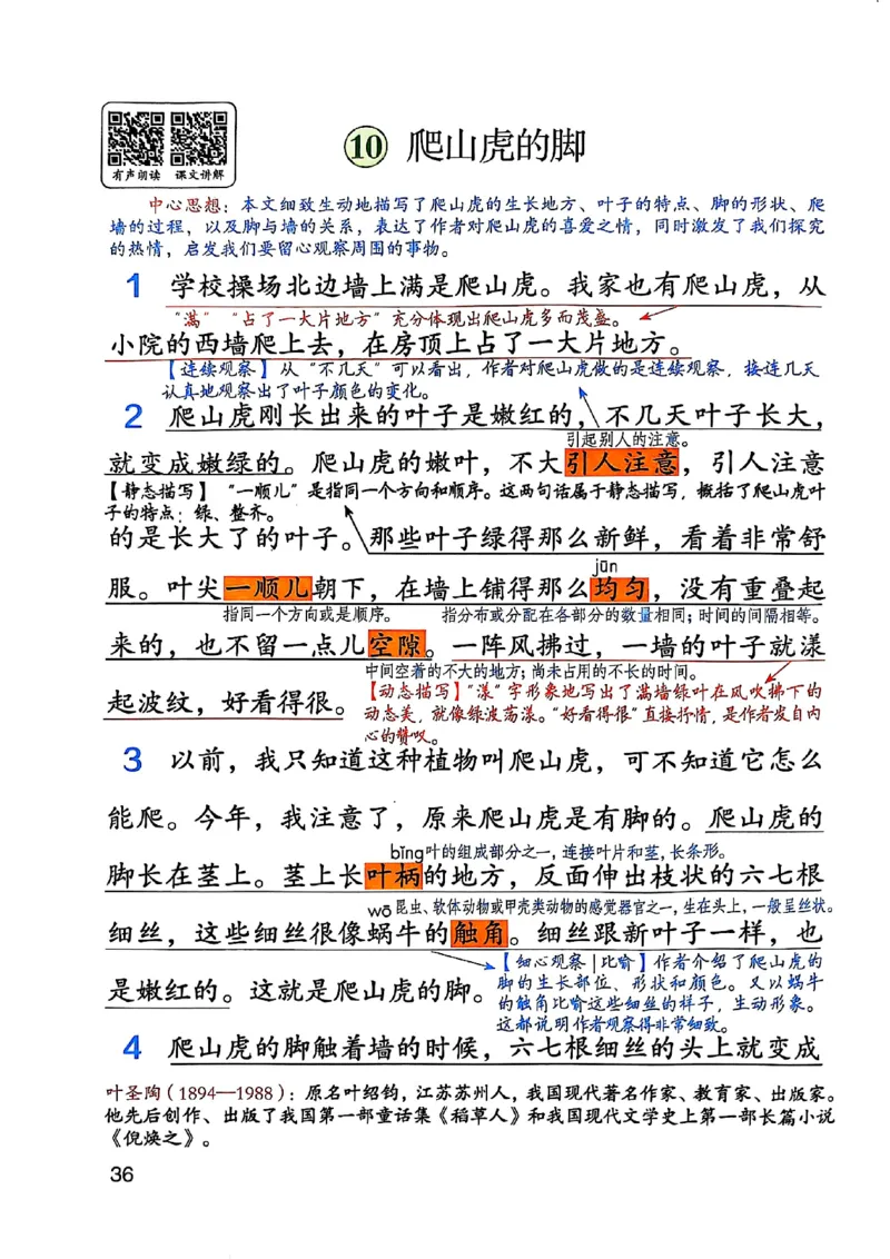 四上语文《课堂笔记》_2025秋《课堂笔记预习课》语文1-6