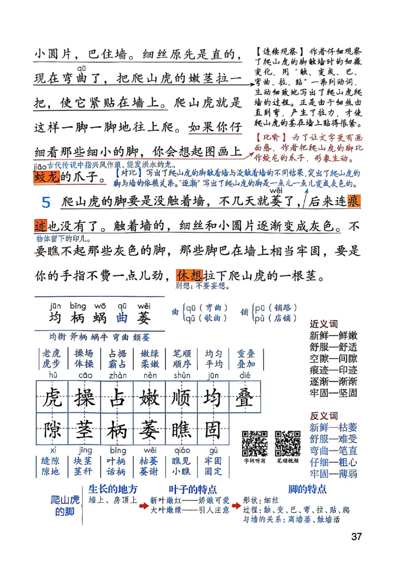 四上语文《课堂笔记》_2025秋《课堂笔记预习课》语文1-6