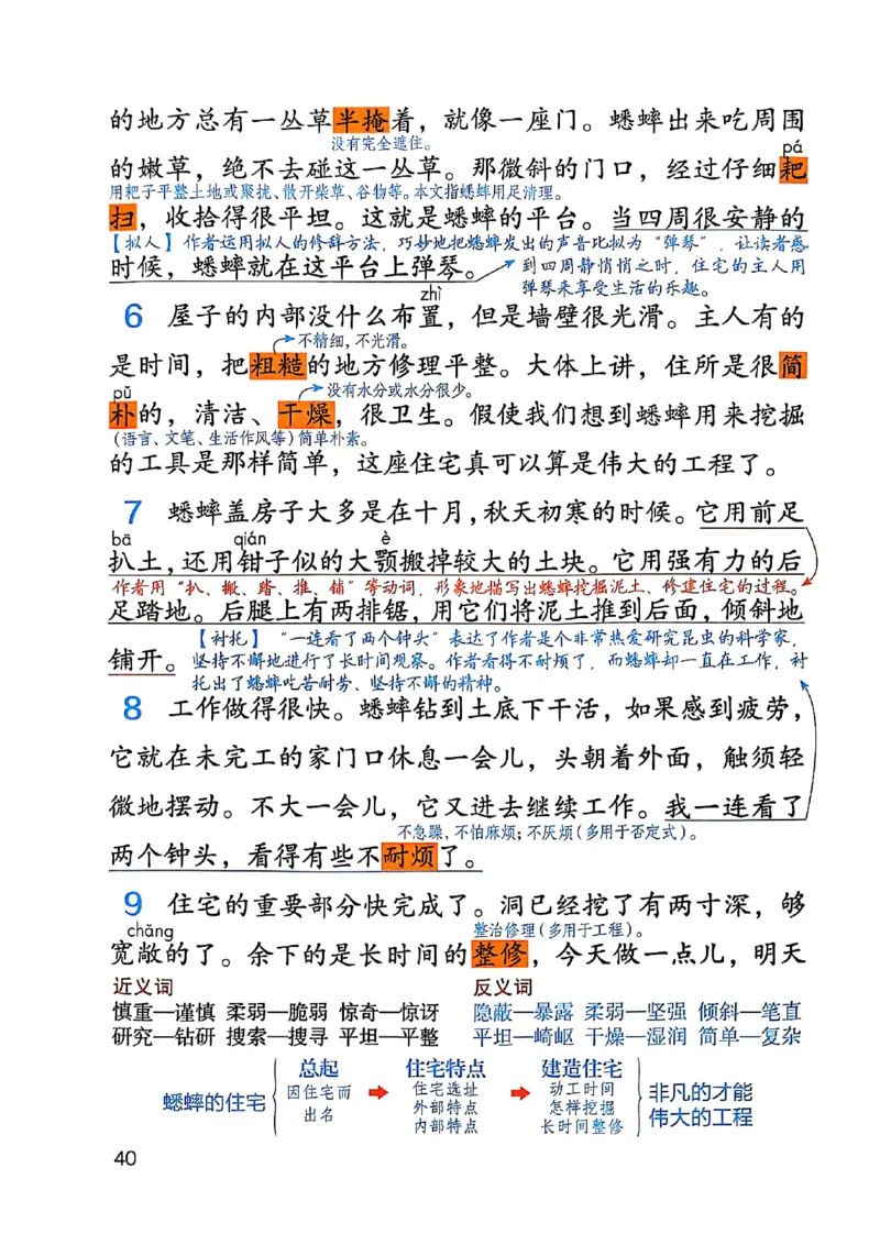 四上语文《课堂笔记》_2025秋《课堂笔记预习课》语文1-6