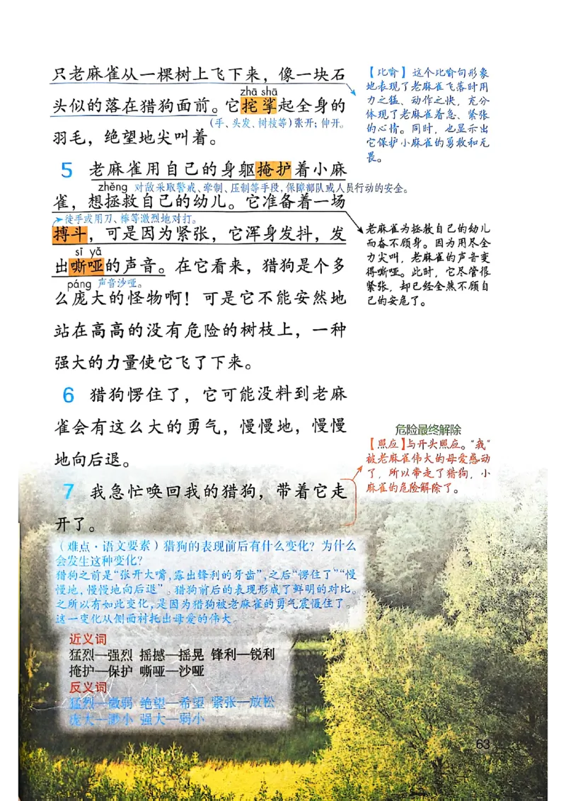 四上语文《课堂笔记》_2025秋《课堂笔记预习课》语文1-6