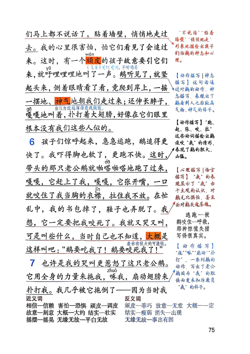 四上语文《课堂笔记》_2025秋《课堂笔记预习课》语文1-6