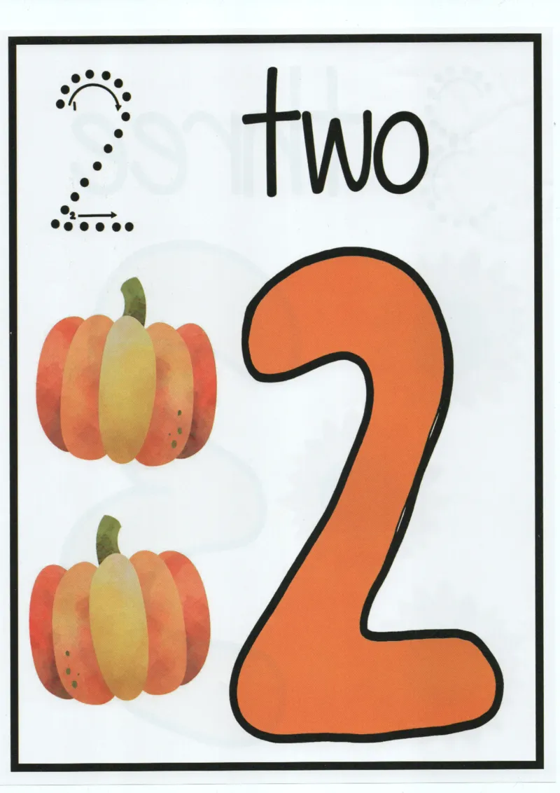 我的第一本数感游戏书_一年级上下册资料_小学一年级学习资料-25年更新版_1-00、幼小衔接_幼小衔接我的第一本系列