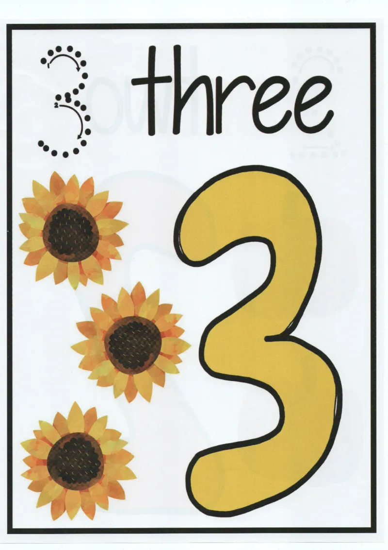 我的第一本数感游戏书_一年级上下册资料_小学一年级学习资料-25年更新版_1-00、幼小衔接_幼小衔接我的第一本系列