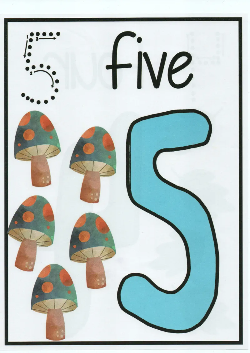 我的第一本数感游戏书_一年级上下册资料_小学一年级学习资料-25年更新版_1-00、幼小衔接_幼小衔接我的第一本系列