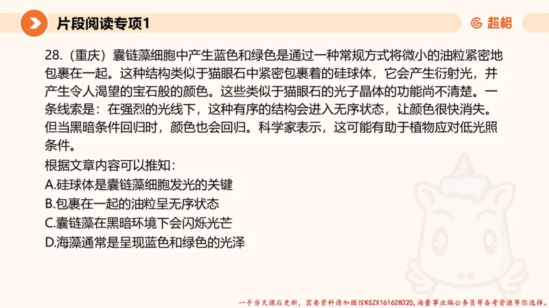 01.言语夸夸刷-1_2026考公资料_（05）超格_行测申论2025超格合集(行测&申论&政治理论)_言语2025超格言语理解全家桶_02.夸夸刷专项提升阶段_讲义