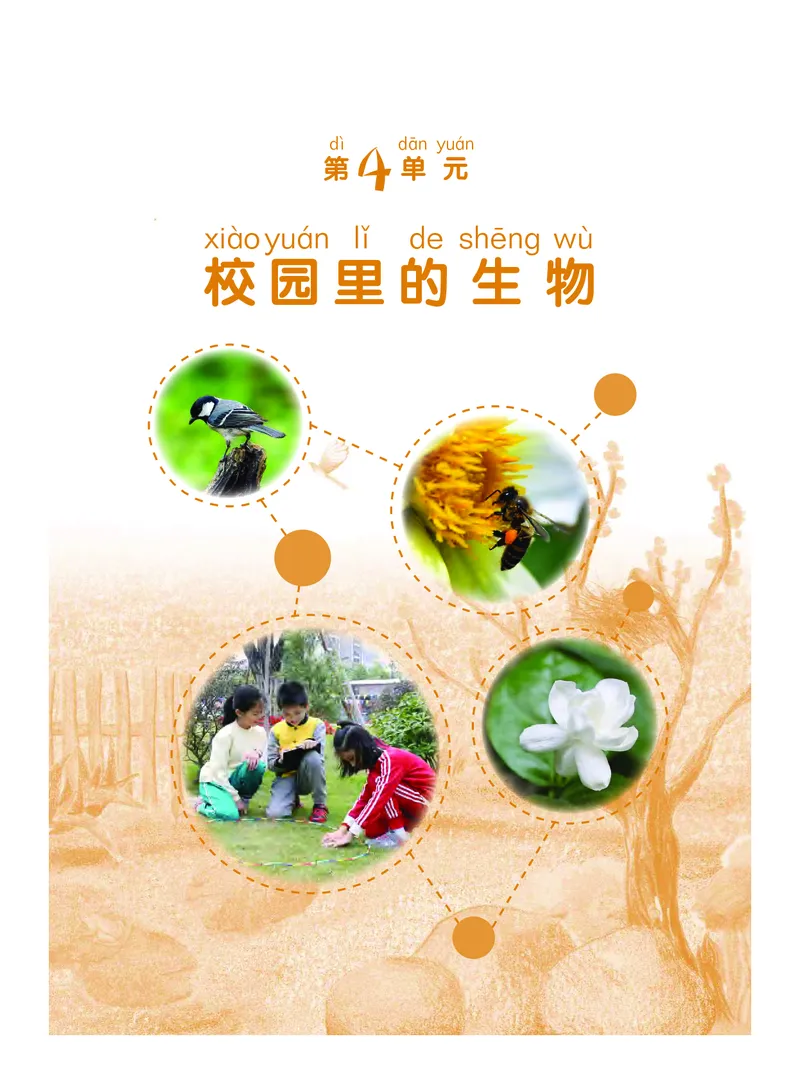 义务教育教科书&middot;科学一年级下册（粤教粤科版）_一年级上下册资料_小学一年级学习资料-25年更新版_1-10、小学一年级科学下册