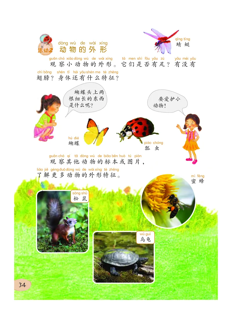 义务教育教科书&middot;科学一年级下册（粤教粤科版）_一年级上下册资料_小学一年级学习资料-25年更新版_1-10、小学一年级科学下册