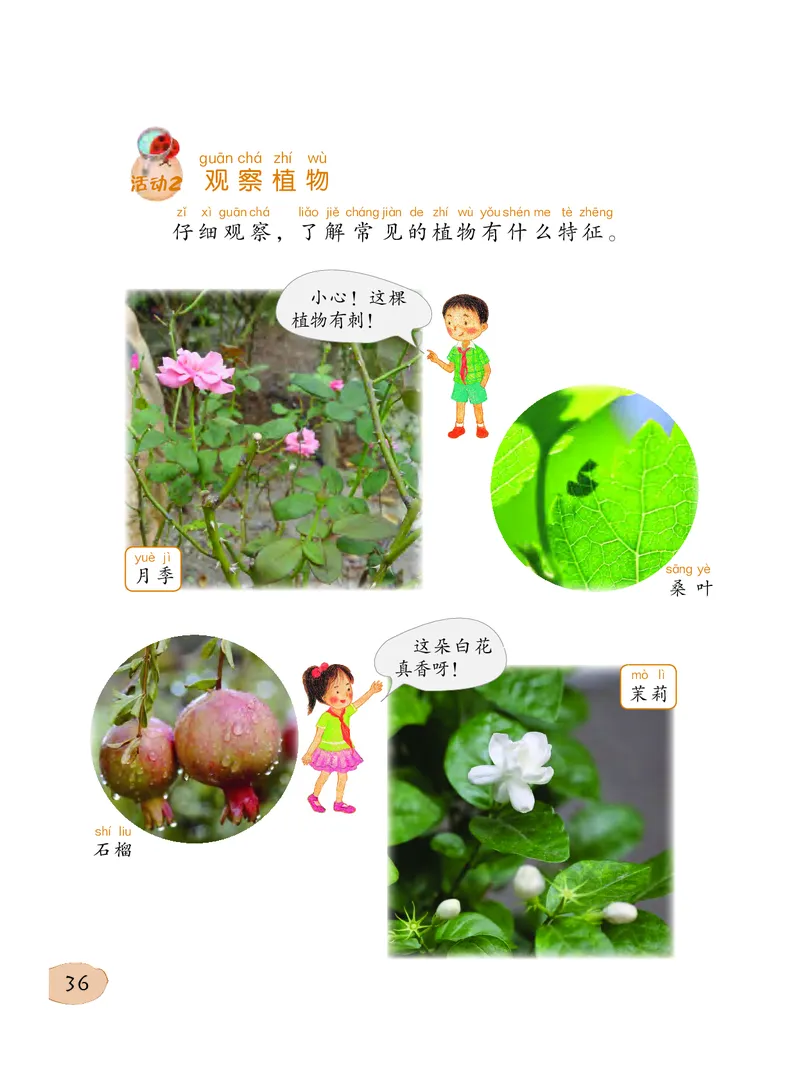 义务教育教科书&middot;科学一年级下册（粤教粤科版）_一年级上下册资料_小学一年级学习资料-25年更新版_1-10、小学一年级科学下册