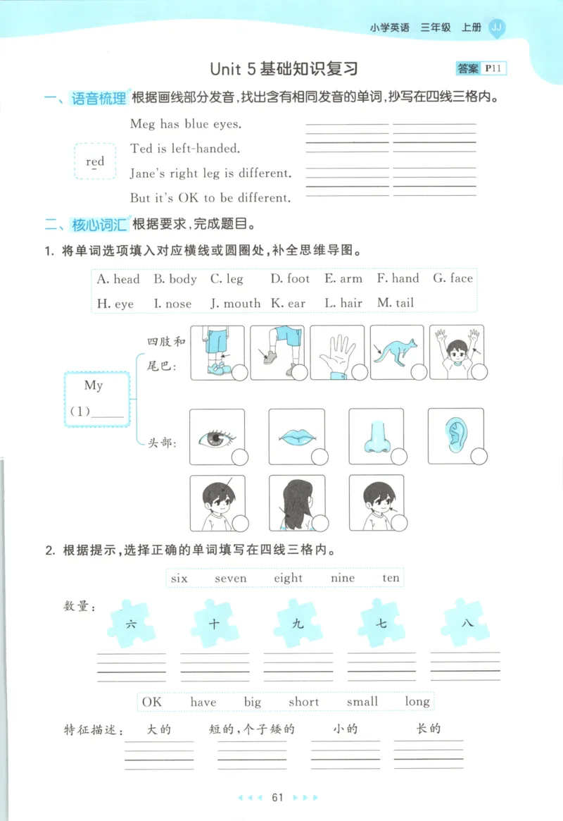 三年级英语上册冀教版25秋《53天天练》_25秋小学语数英习题试卷_英语_冀教版_3-6年级英语上册冀教版25秋《53天天练》_三年级英语上册冀教版25秋《53天天练》