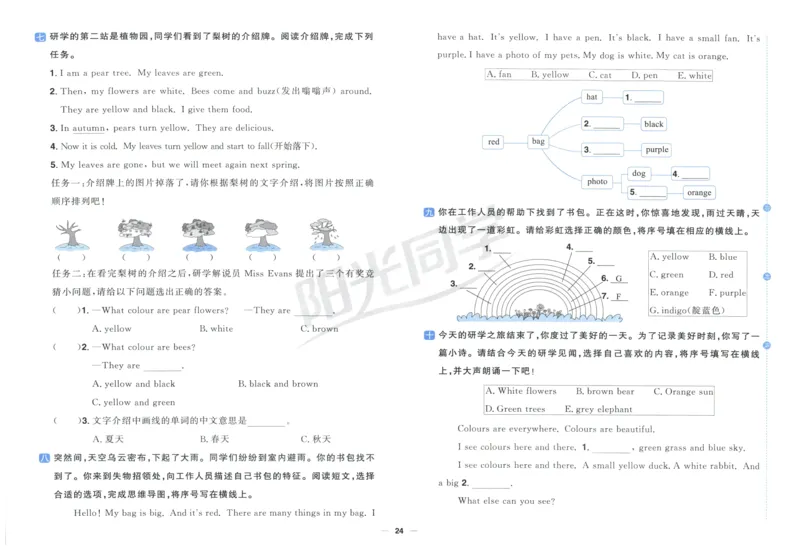 三年上册英语《阳光同学全优好卷》25秋_25秋小学语数英习题试卷_英语_人教版_英语《阳光同学全优好卷》人教25秋(1)