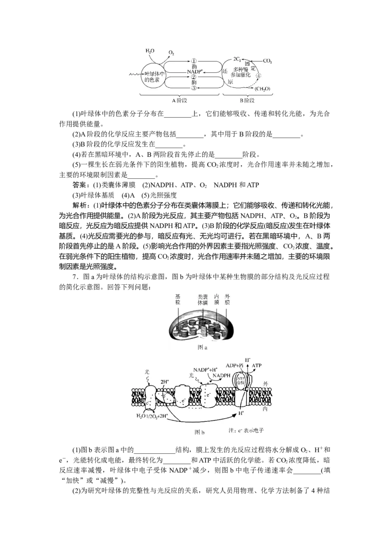 专练26_2025高中教辅（后续还会更新新习题试卷）_2025高中全科《微专题&middot;小练习》_2025高中全科《微专题小练习》_2025版&middot;微专题小练习&middot;生物学&middot;不定项