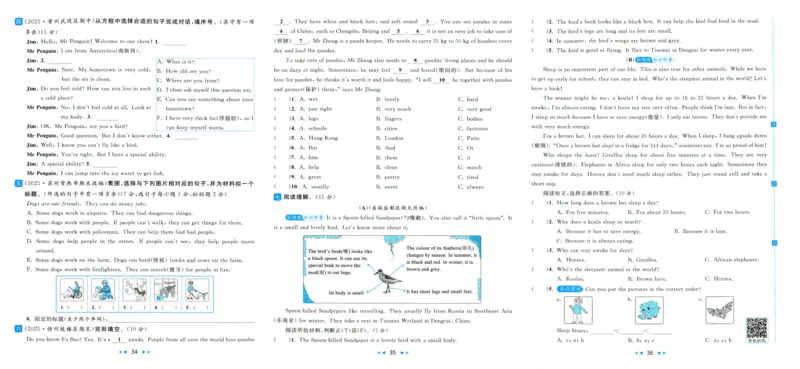 亮点给力大试卷_25秋小学语数英习题试卷_英语_译林版_25秋亮点给力大试卷英语译林版3456_2025秋亮点给力大试卷英语译林版5上