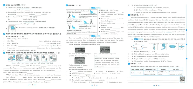 亮点给力大试卷_25秋小学语数英习题试卷_英语_译林版_25秋亮点给力大试卷英语译林版3456_2025秋亮点给力大试卷英语译林版5上