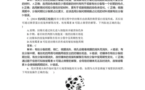 专练31_2025高中教辅（后续还会更新新习题试卷）_2025高中全科《微专题&middot;小练习》_2025高中全科《微专题小练习》_2025版&middot;微专题小练习&middot;生物学&middot;不定项