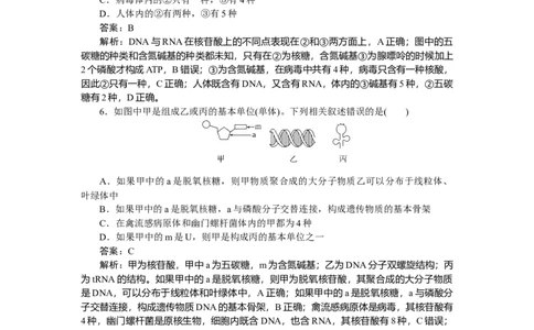 专练7_2025高中教辅（后续还会更新新习题试卷）_2025高中全科《微专题&middot;小练习》_2025高中全科《微专题小练习》_2025版&middot;微专题小练习&middot;生物学&middot;