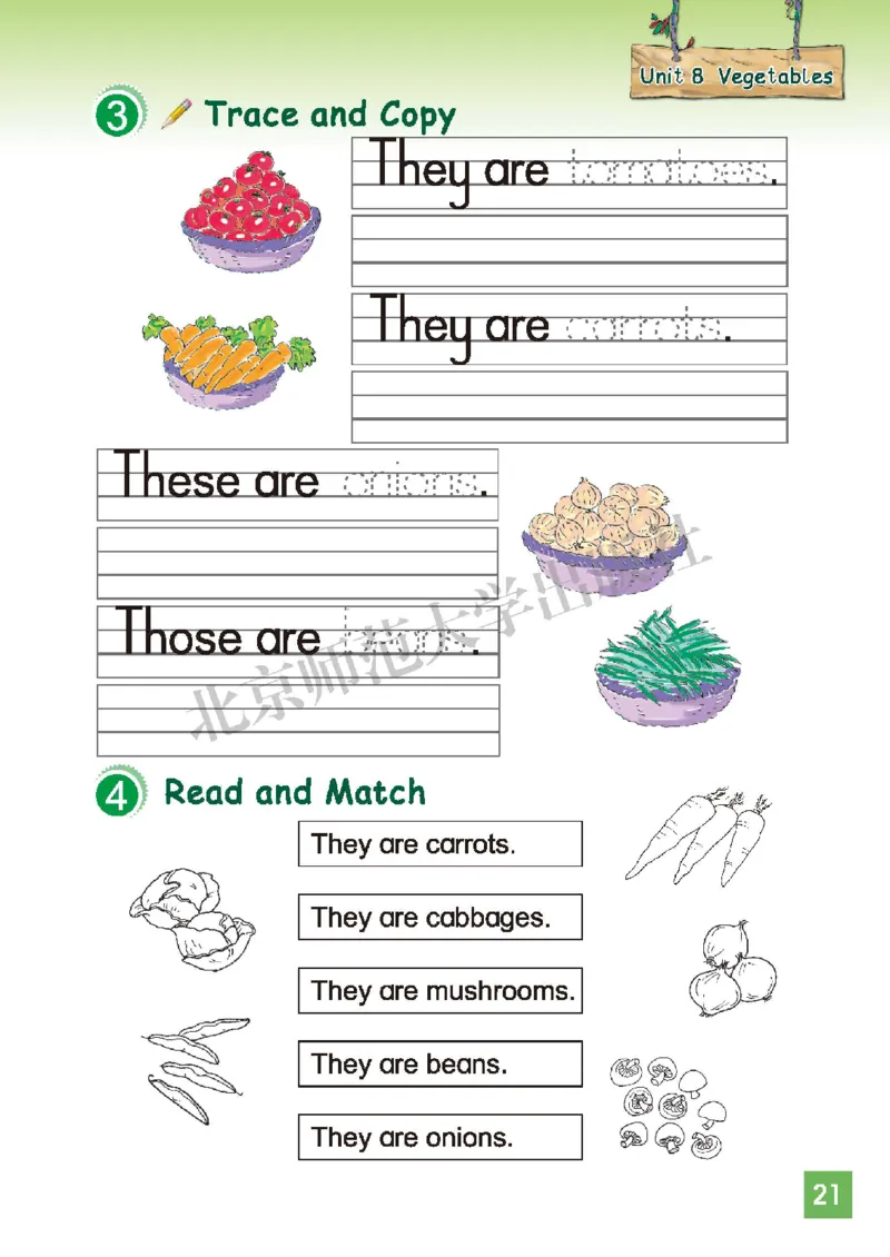 义务教育教科书&middot;英语（三年级起点）三年级下册（北师版）_三年级上下册资料_小学三年级学习资料-25年更新版_3-06、小学三年级英语下册_3-6-3、电子教材、课本