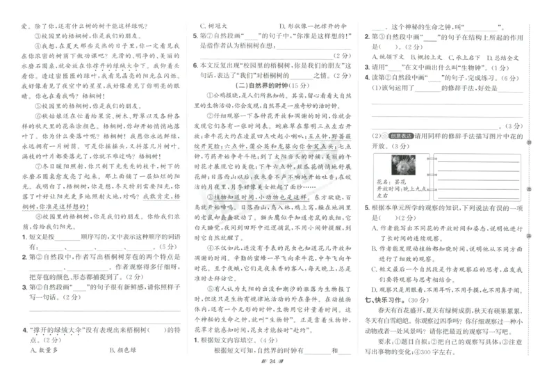 三年级语文上册人教版25秋《阳光同学提优新卷》_25秋小学语数英习题试卷_语文_语文《阳光同学提优新卷》_三年级语文上册人教版25秋《阳光同学提优新卷》