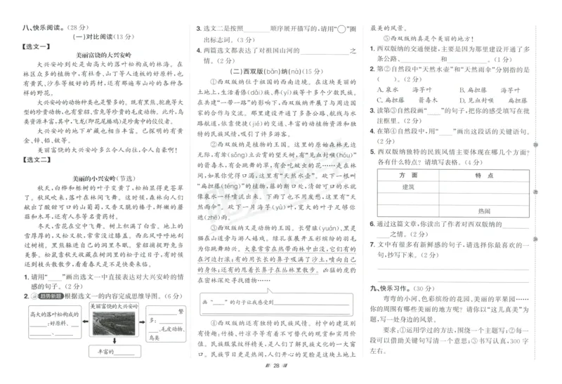 三年级语文上册人教版25秋《阳光同学提优新卷》_25秋小学语数英习题试卷_语文_语文《阳光同学提优新卷》_三年级语文上册人教版25秋《阳光同学提优新卷》
