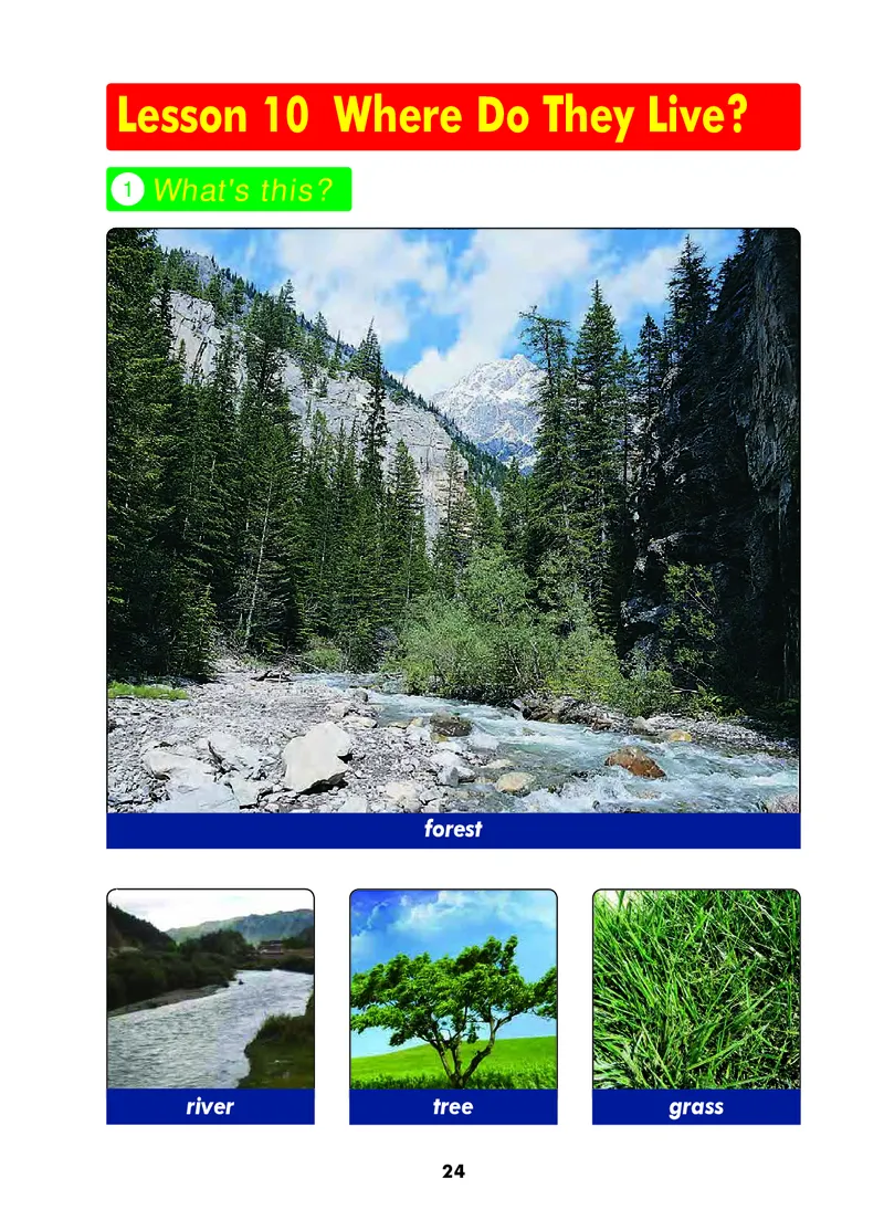 冀教版（三年级起点）三年级下册英语PDF电子课本_三年级上下册资料_三年级上语数英上下册学习资料_3-8-6、小学三年级英语下册_冀教版_11、电子课本