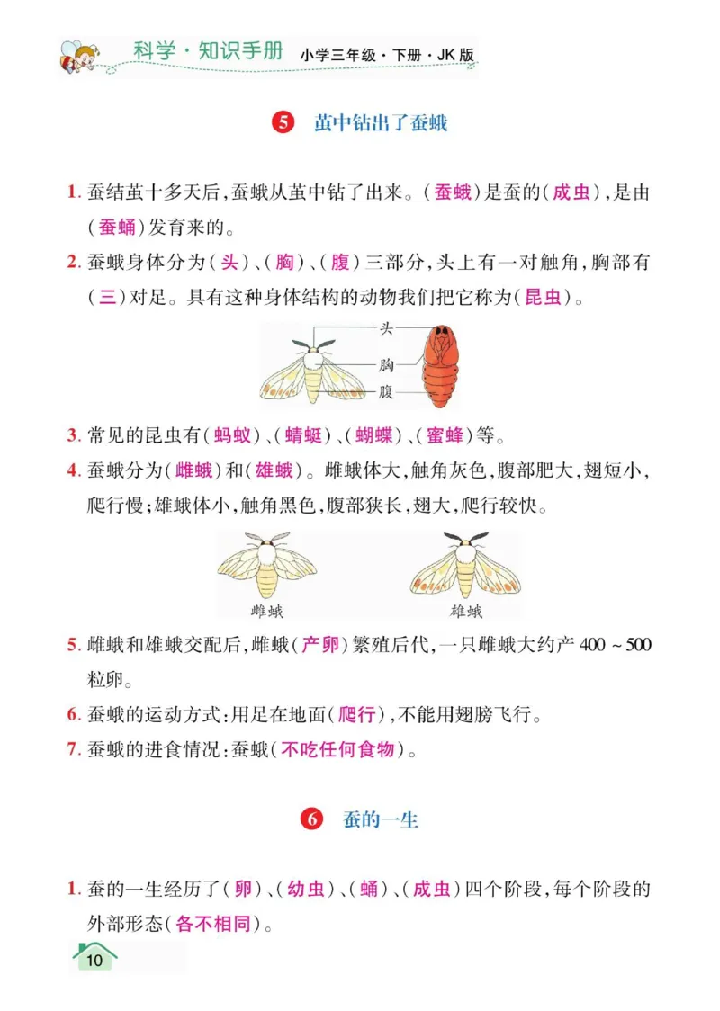 天天向上3下知识手册_三年级上下册资料_小学三年级学习资料-25年更新版_3-10、小学三年级科学下册_教科版_知识点