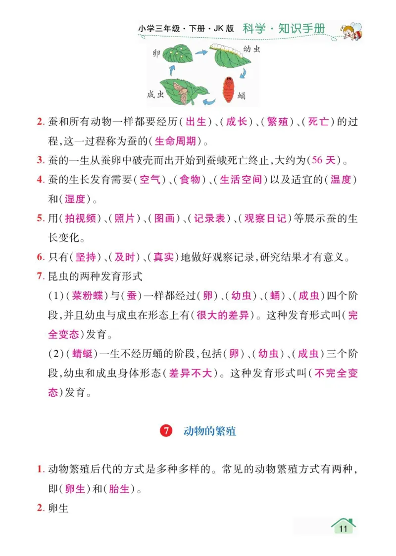 天天向上3下知识手册_三年级上下册资料_小学三年级学习资料-25年更新版_3-10、小学三年级科学下册_教科版_知识点